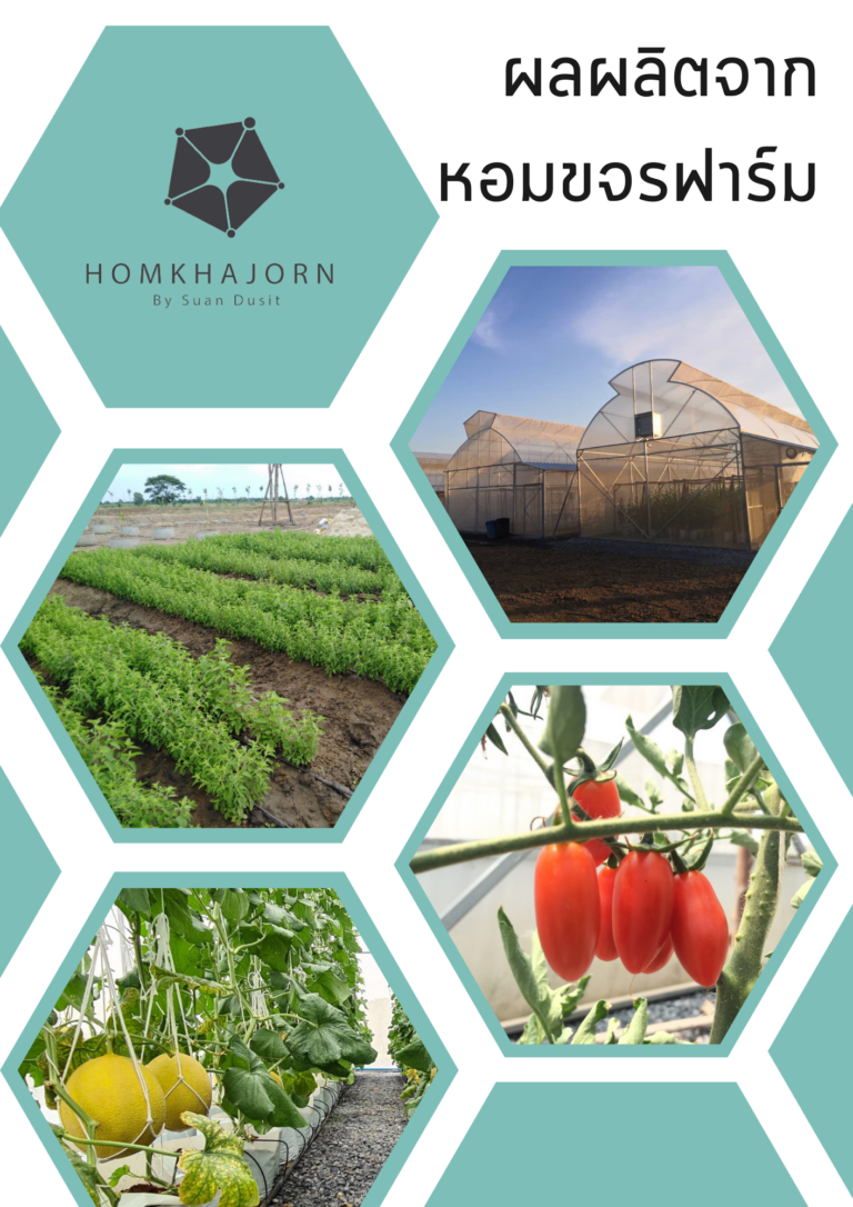 แหล่งวัตถุดิบจากชุมชนท้องถิ่น